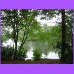 View From Back of Camper.jpg